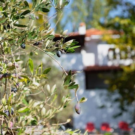 Diamond Farm Villa Kala Nera Dış mekan fotoğraf