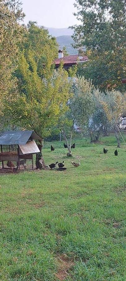 Diamond Farm Villa Kala Nera Dış mekan fotoğraf