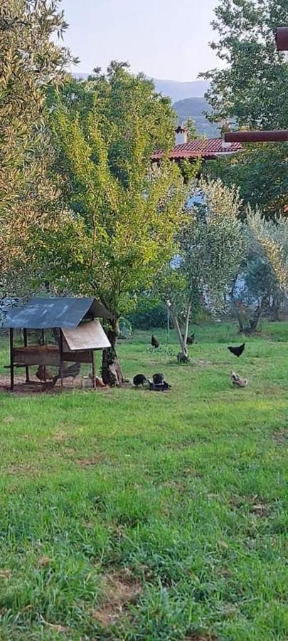 Diamond Farm Villa Kala Nera Dış mekan fotoğraf