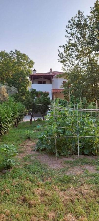 Diamond Farm Villa Kala Nera Dış mekan fotoğraf