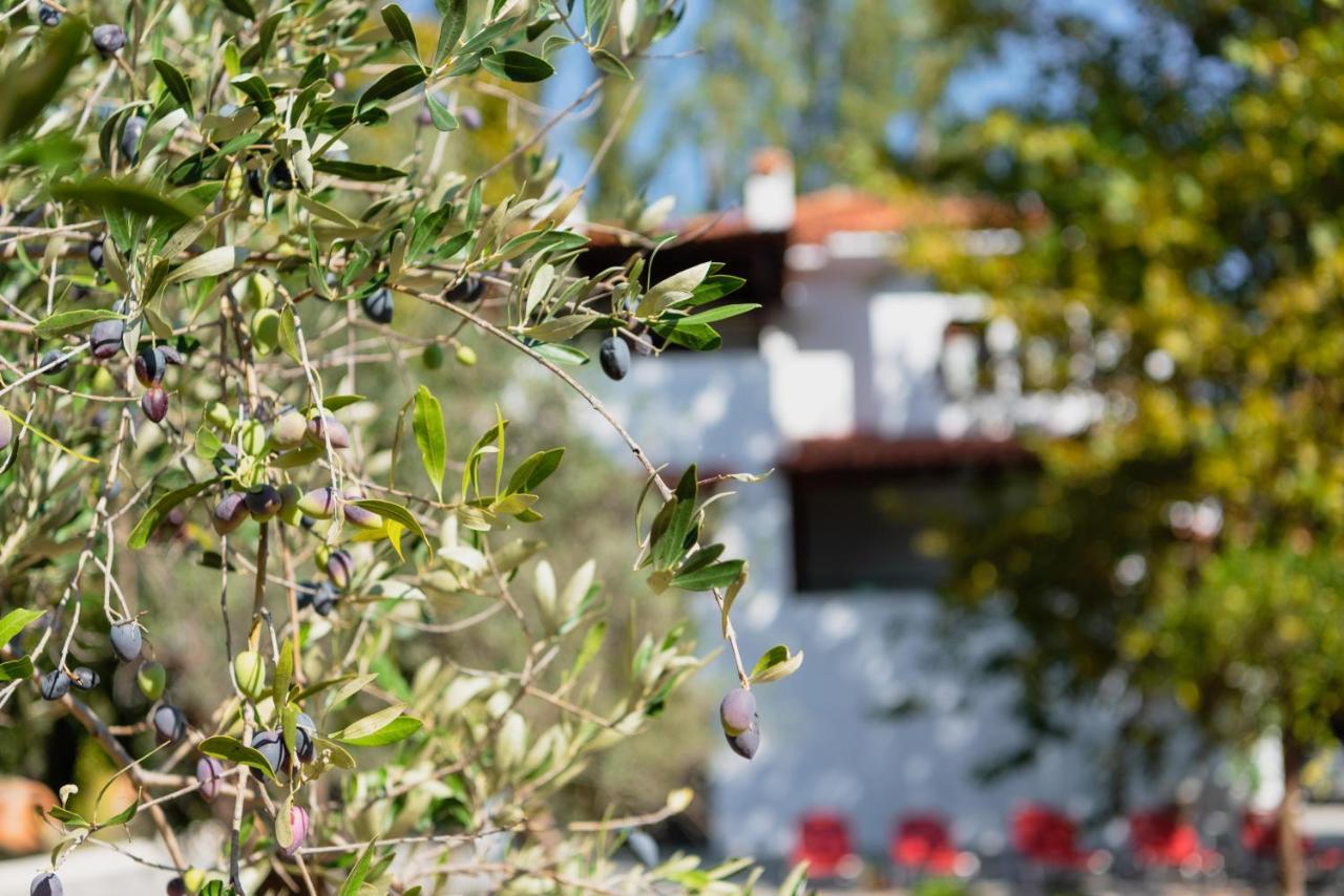Diamond Farm Villa Kala Nera Dış mekan fotoğraf