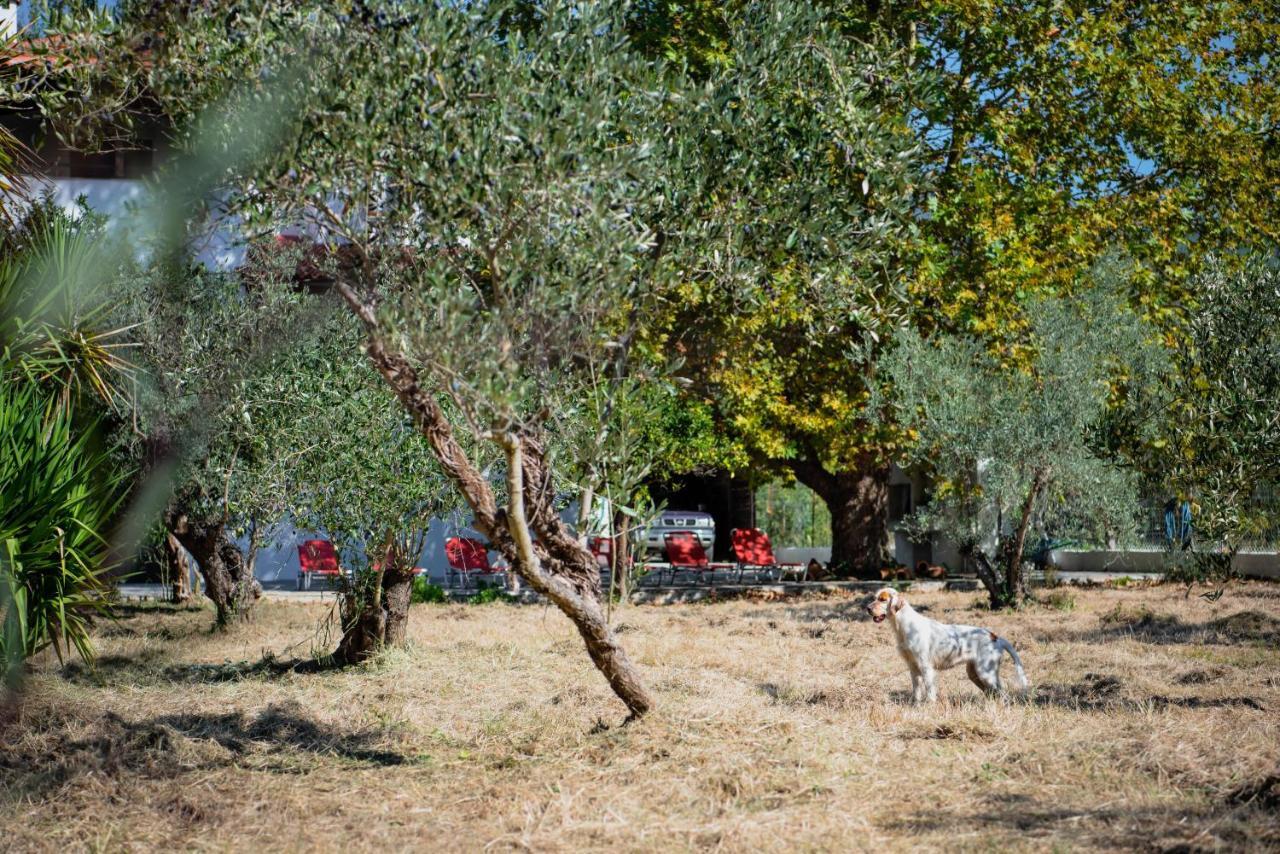 Diamond Farm Villa Kala Nera Dış mekan fotoğraf